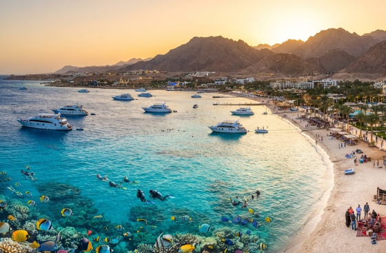Sharm El Sheikh Discovery: 8-Day Group Tours