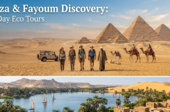 Giza & Fayoum Discovery: 9-Day Eco Tours