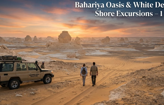Bahariya Oasis & White Desert Shore Excursions – 1 Day
