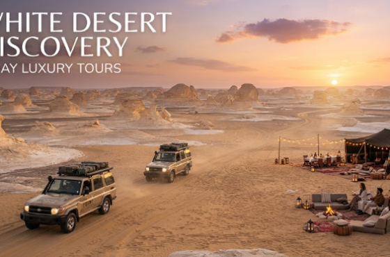 White Desert Discovery: 5-Day Luxury Tours