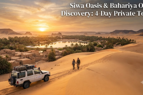 Siwa Oasis & Bahariya Oasis Discovery: 4-Day Private Tours